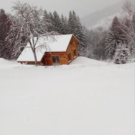 Chalet Forestlodge - Gerardmer