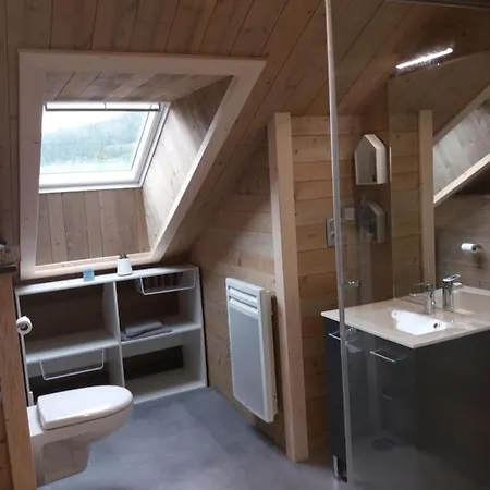 Chalet Forestlodge - *