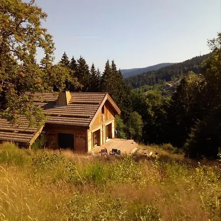 Chalet Chalet Forestlodge - *