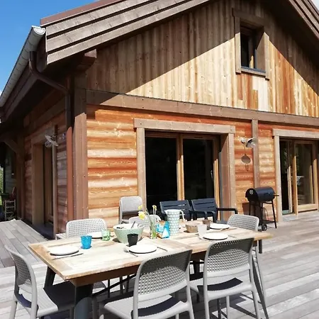Chalet Forestlodge - Chalet *