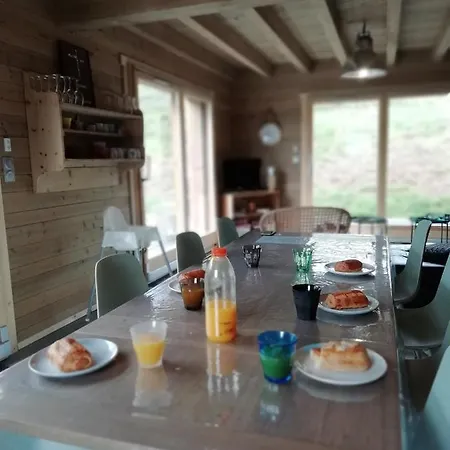 Chalet Forestlodge - *