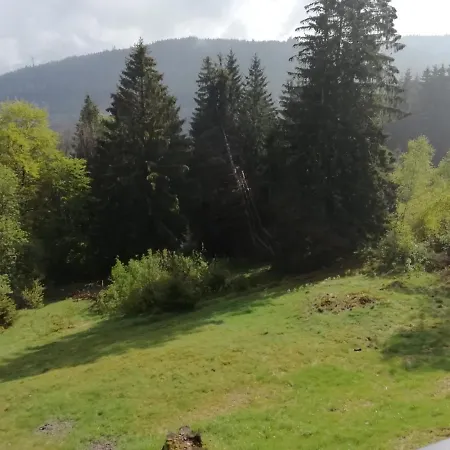 Chalet Forestlodge -