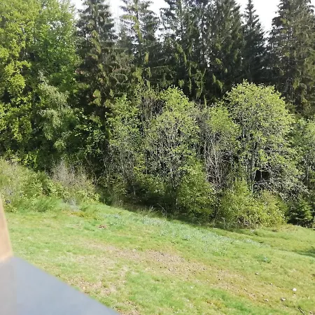 Chalet Chalet Forestlodge -