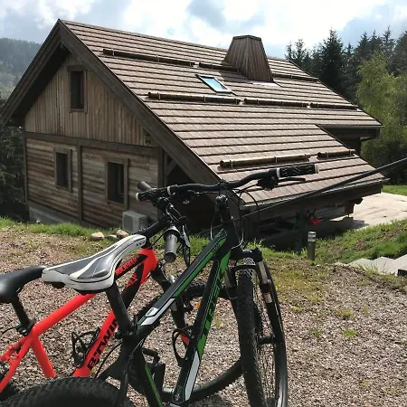 Chalet Forestlodge - Chalet Gerardmer